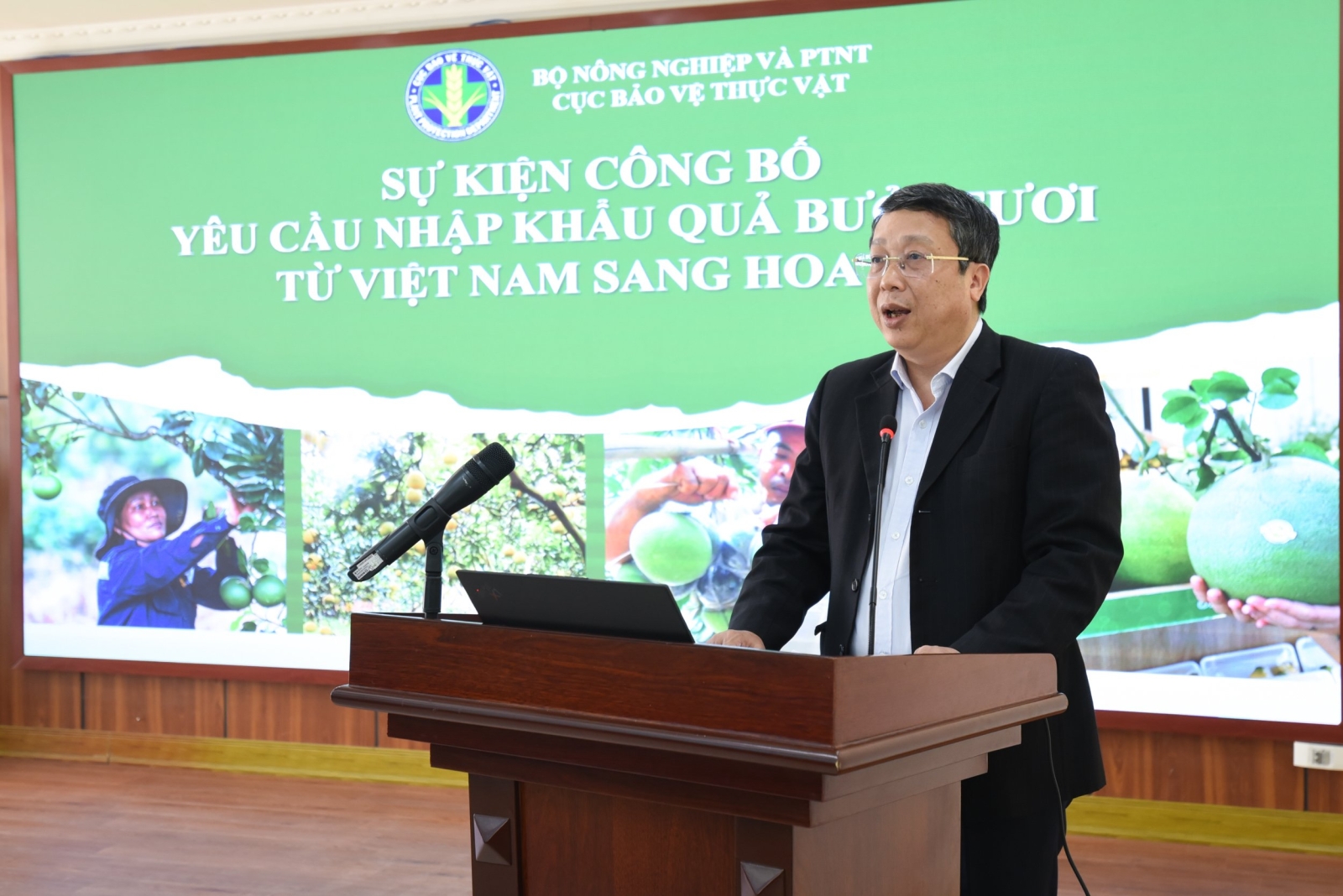 Doanh nghiệp Việt muốn đưa bưởi vào các siêu thị Hoa Kỳ