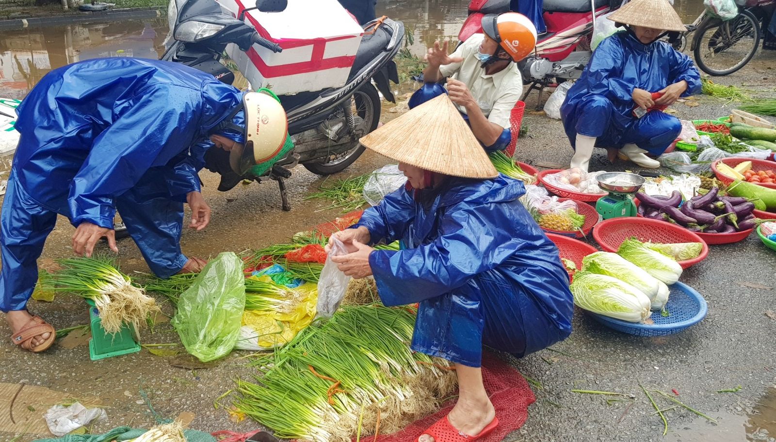 Giá rau, củ tăng 10-30%, các mặt hàng cá, thịt tăng nhẹ