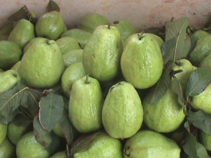 Hình ảnh 4