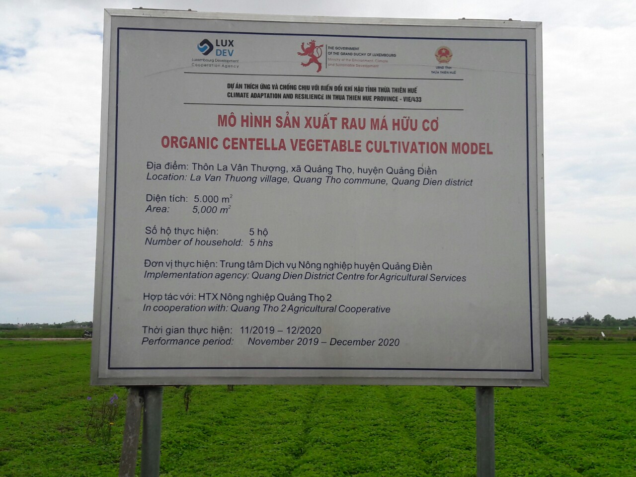 Hình ảnh 10