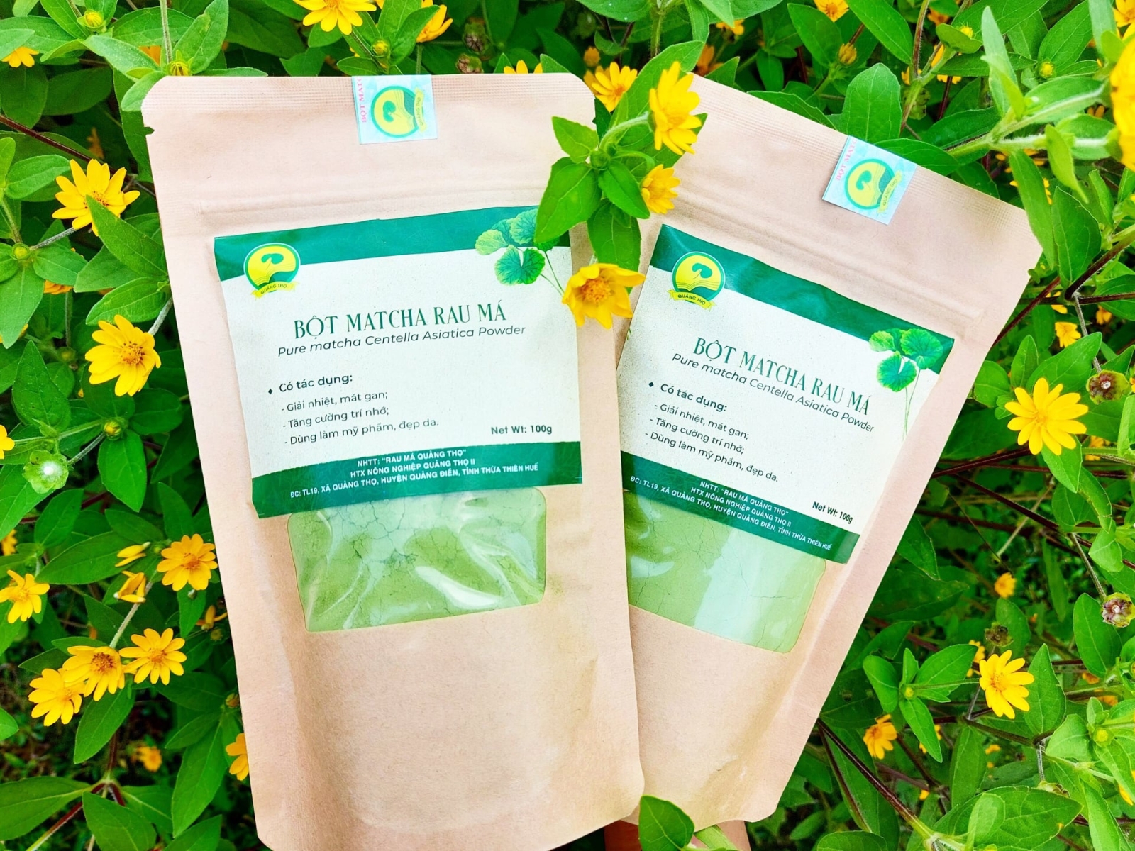 Hình ảnh 2